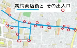 図8　高円寺駅純情商店街の動線（あちこちに出入口ができるため人々が集中する場所は多くない）