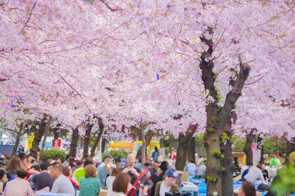 2025年4月のお花見集客販促ビジュアル。満開の桜の下での宴会風景で、飲食店やデリバリー業が花見・行楽需要を取り込むアイデアを紹介。店舗経営者が春の繁忙期に売上を最大化させるためのキャンペーン成功事例や、集客のヒントを解説した画像。