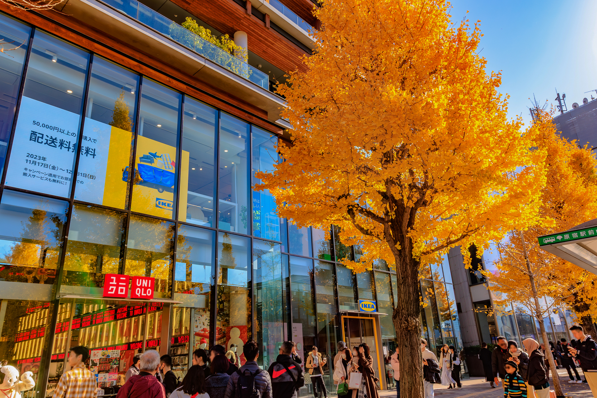 秋の紅葉で賑わう原宿（ユニクロ原宿店・複合商業施設 WITH HARAJUKU）販促　販促カレンダー　集客　客数増大、客数単価増大、点数増大、新規獲得、固定客化　リピーター　催事　イベント　販売促進　施策　販促アイデアカレンダー　販促事例