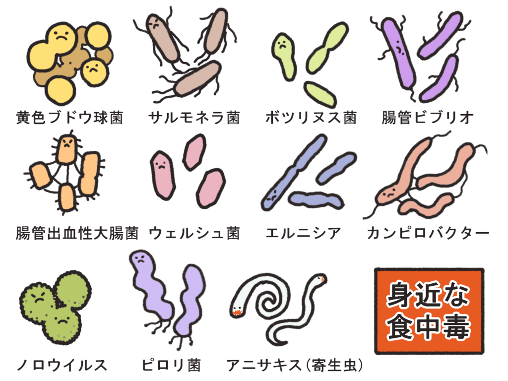 黄色ブドウ球菌、サルモネラ菌、アニサキス、ノロウイルスなど、代表的な食中毒の原因菌と寄生虫のキャラクター一覧。それぞれの特徴を把握し、季節ごとのリスクに備えるための図解。
