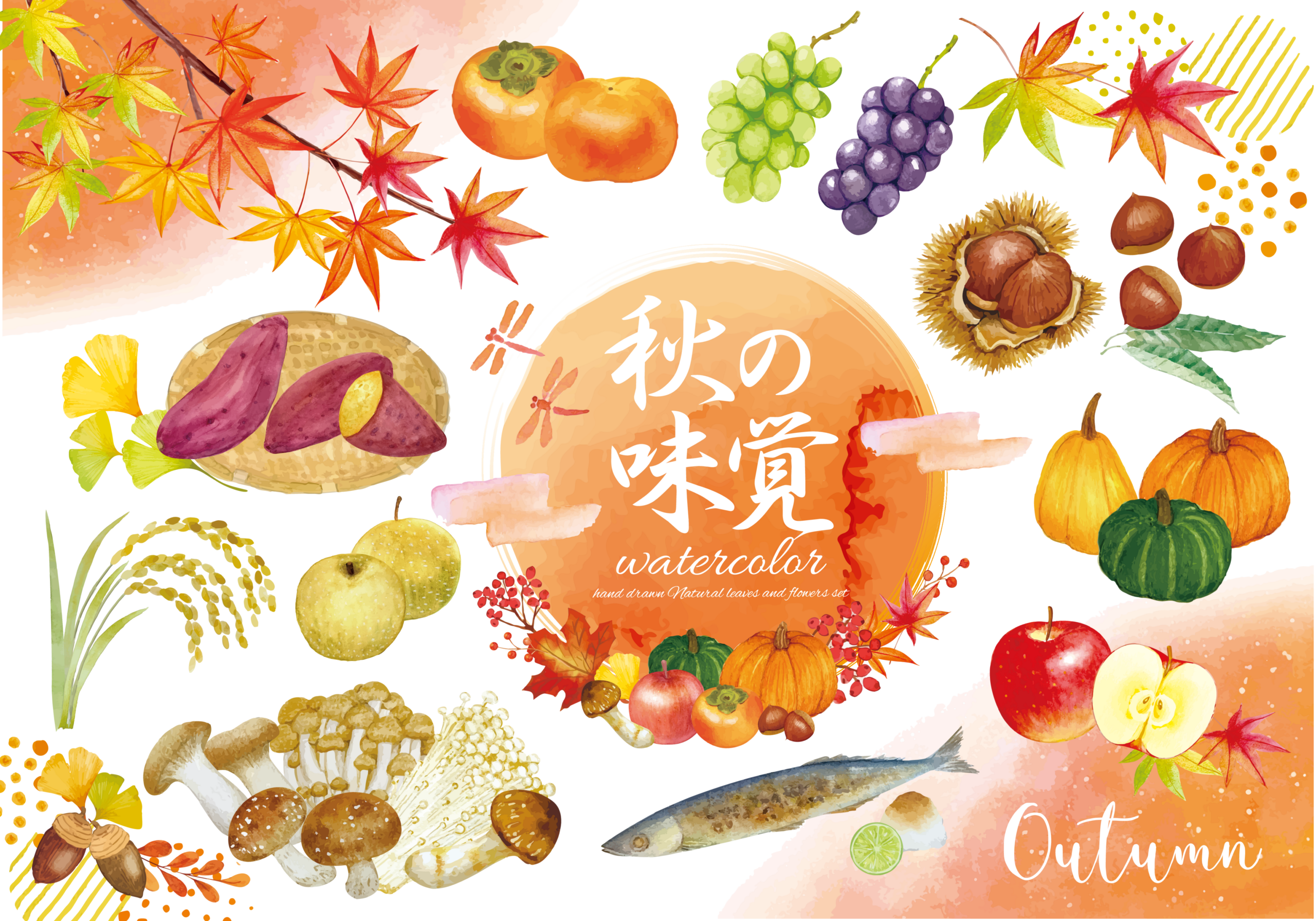飲食・小売業における10月の秋の味覚フェアと限定メニュー販促のイメージ。栗、柿、ぶどう、さつまいも、秋刀魚などの旬の食材を活用し、3プライスのアップセルとセット販売・プラス1品の提案によって客単価と買上点数を向上させる売場づくり。
